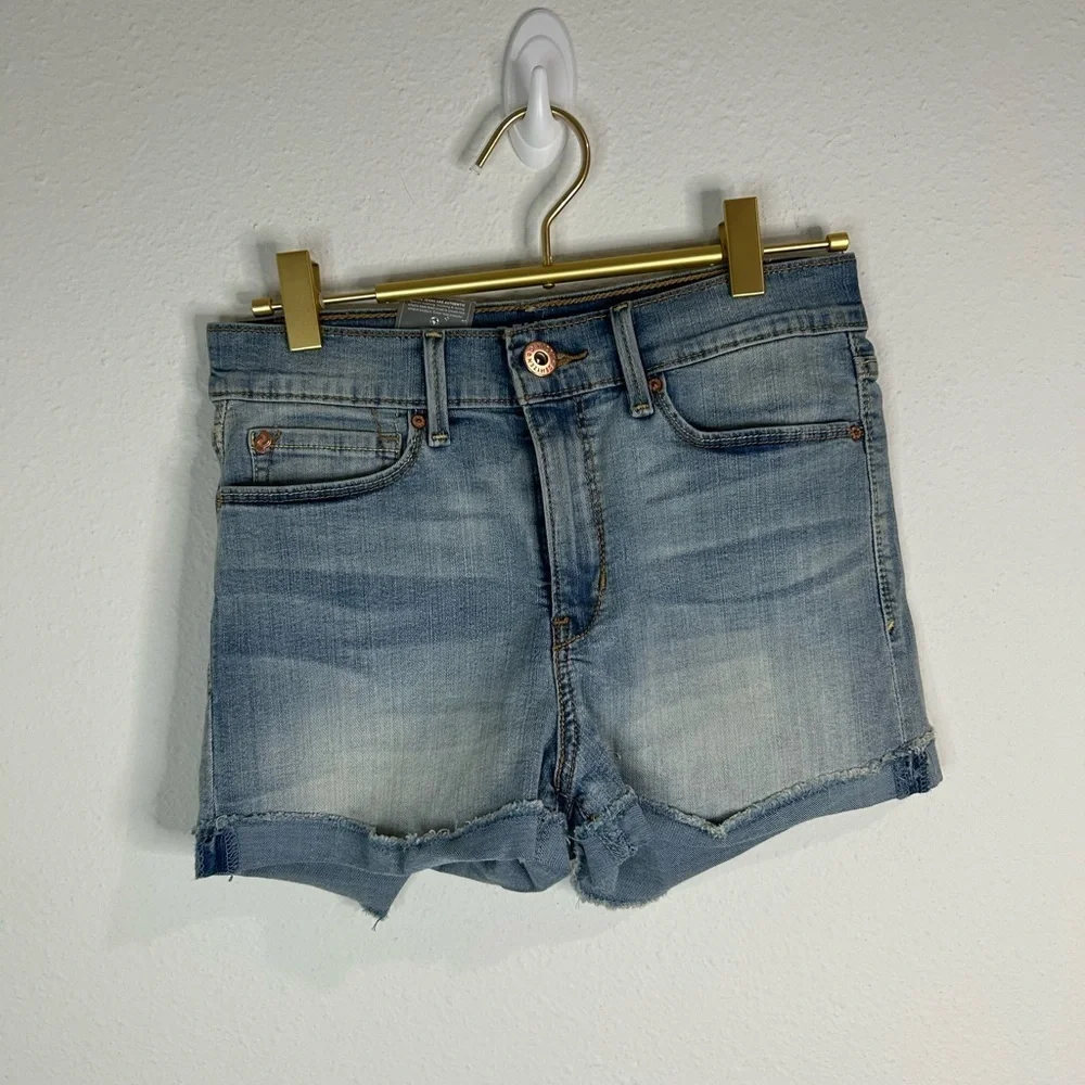 Denizen from Levis description these